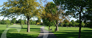 field